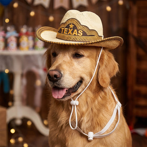 Pet Cowboy Hat