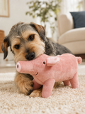 Pet Teeth Grinding Plush Toy lifestyle