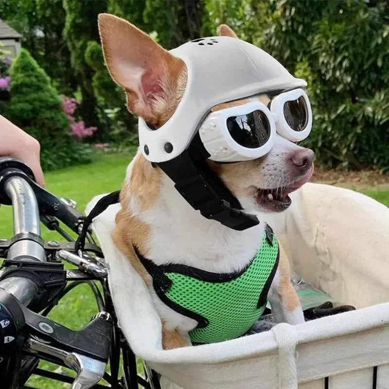 CE Certified Adjustable Pet Helmet with UV Sunglasses for Dogs & Cats - Travel/Bicycle Safety Gear Lightweight Outdoor Protect