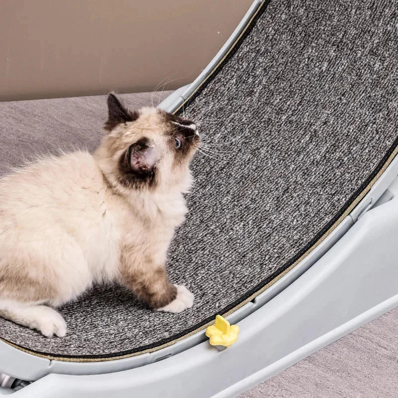 Cat Pet Supplies Dog Fitness Equipment Large Cat Climbing Frame Treadmill Toy Circular Running Track Large Base Treadmill