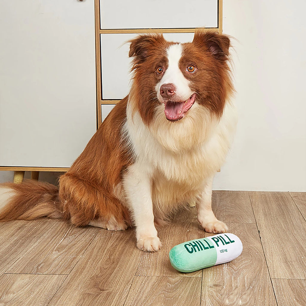 Interactive Plush Pill-Shaped Dog Toy with Squeaker - Durable, Bite-Resistant Chew Toy for Pet Play and Dental Health