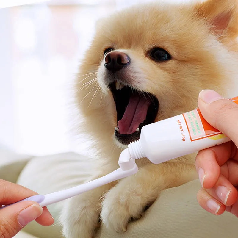 Dog Toothbrush Mini Head Pet Toothbrush Soft Hair Toothbrushes for Dog Teeth Cleaning Rabbit Small Pet Toothbrushes Mouth Clean