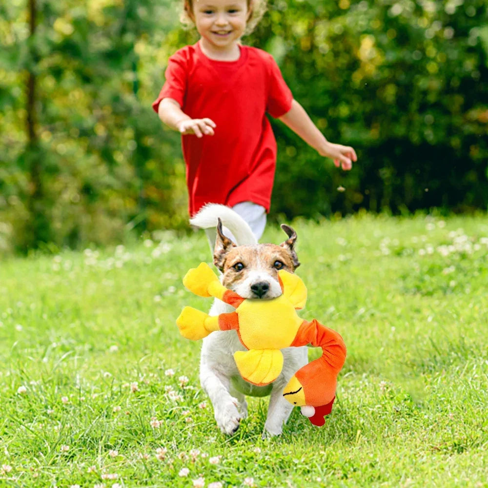 1Pcs Pets Dog Toys Screaming Chicken Sound Toy Puppy Bite Resistant Chew Toy Interactive Squeaky Dog Toy Puppy Dog Accessories