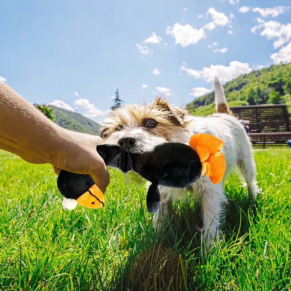 1Pcs Pets Dog Toys Screaming Chicken Sound Toy Puppy Bite Resistant Chew Toy Interactive Squeaky Dog Toy Puppy Dog Accessories