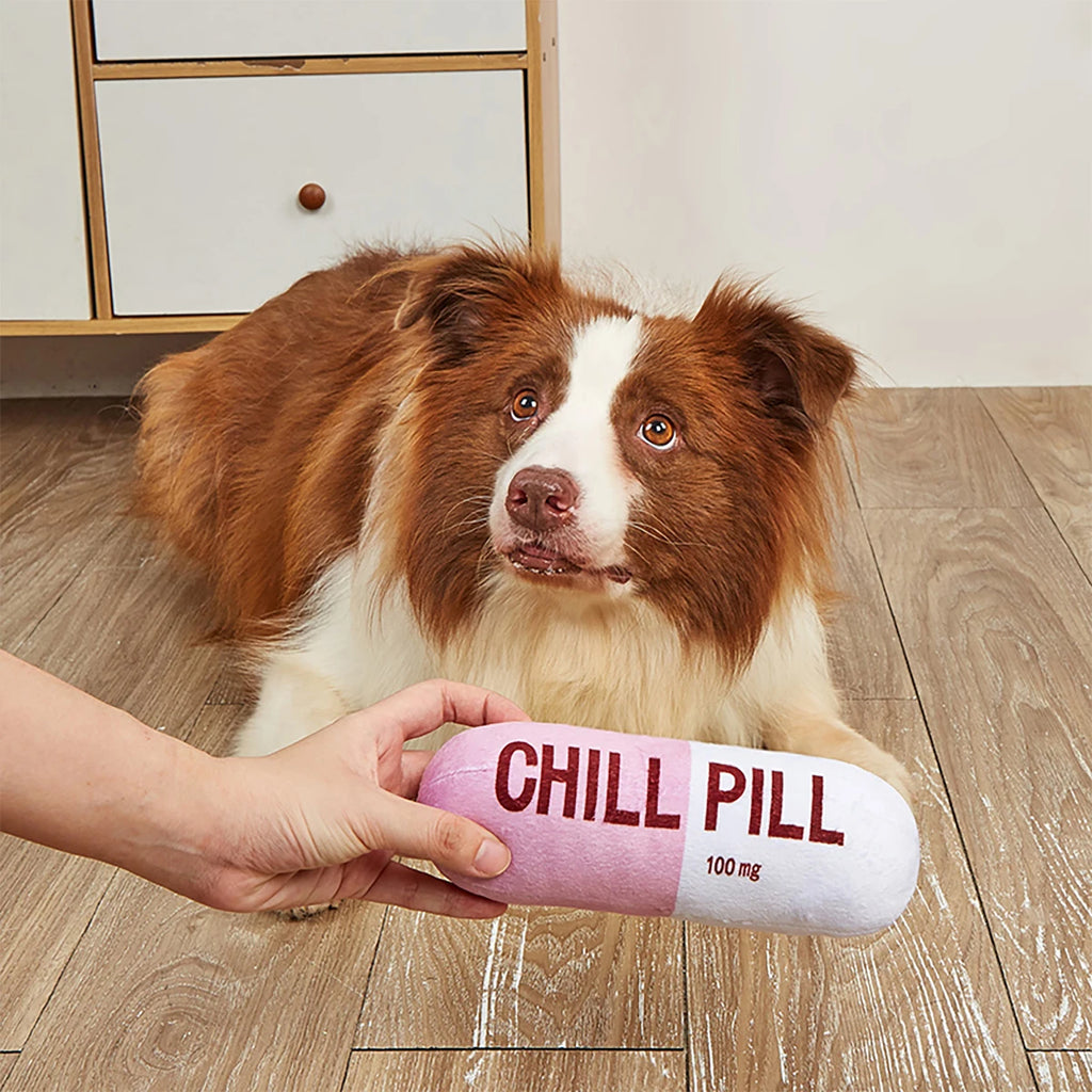Interactive Plush Pill-Shaped Dog Toy with Squeaker - Durable, Bite-Resistant Chew Toy for Pet Play and Dental Health