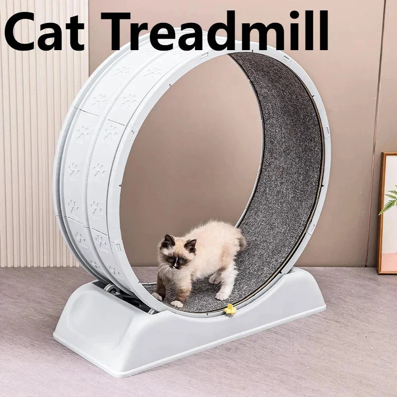 Cat Pet Supplies Dog Fitness Equipment Large Cat Climbing Frame Treadmill Toy Circular Running Track Large Base Treadmill