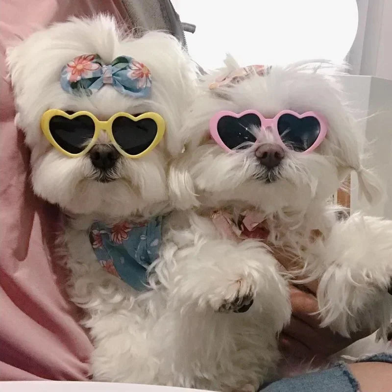 Heart-Shaped Pet Glasses - Dog & Cat Photo Accessory