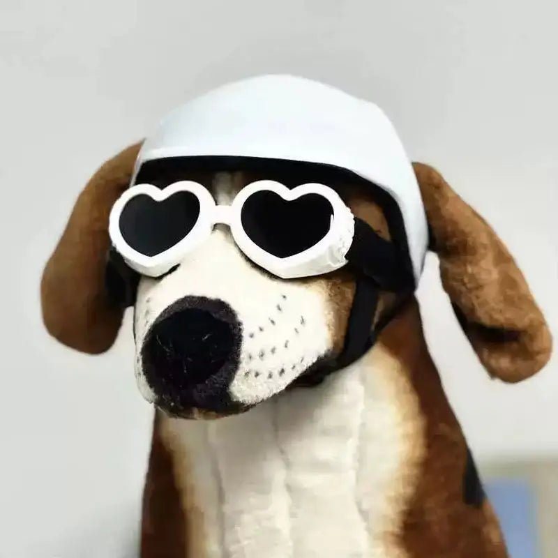 CE Certified Adjustable Pet Helmet with UV Sunglasses for Dogs & Cats - Travel/Bicycle Safety Gear Lightweight Outdoor Protect
