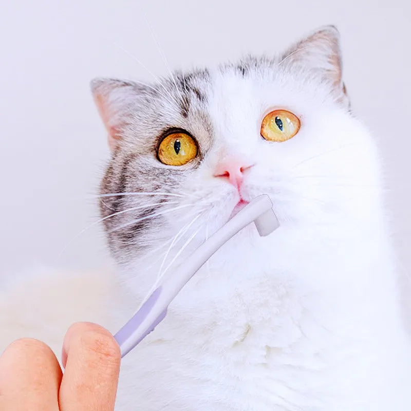 Dog Toothbrush Mini Head Pet Toothbrush Soft Hair Toothbrushes for Dog Teeth Cleaning Rabbit Small Pet Toothbrushes Mouth Clean