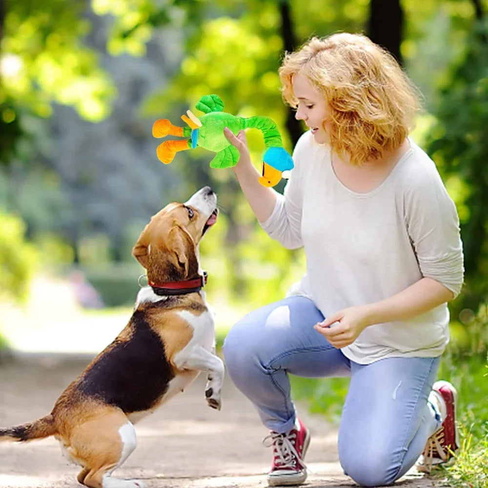1Pcs Pets Dog Toys Screaming Chicken Sound Toy Puppy Bite Resistant Chew Toy Interactive Squeaky Dog Toy Puppy Dog Accessories