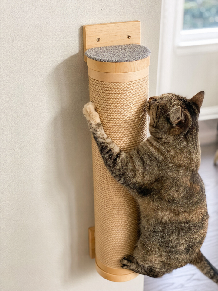 Cat Scratching Post Wall Furniture lifestyle